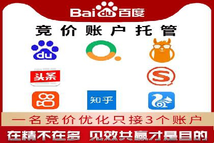 竞价托管服务深度解析：企业如何借助其提升业绩？